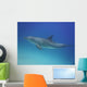 Blue Dolphin