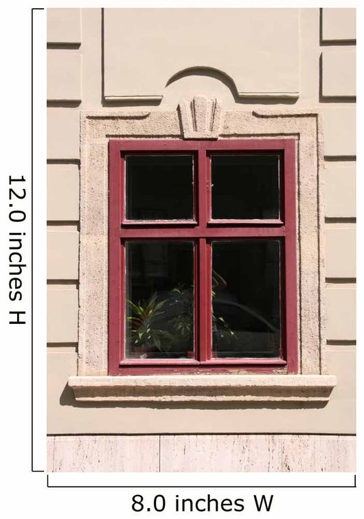 Window