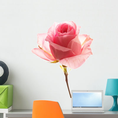 Beautiful Rose Wall Decal shown on a wall