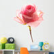 beautiful rose Wall Decal