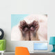 Kitten's Paw Wall Decal