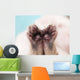 Kitten's Paw Wall Decal