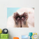 Kitten's Paw Wall Decal