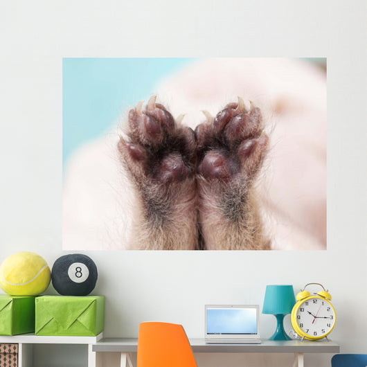 Kitten's Paw Wall Decal