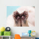 Kitten's Paw Wall Decal
