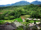 Rice Terraces Wall Decal