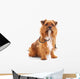 Dog with Stethoscope Wall Decal