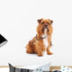 Dog with Stethoscope Wall Decal