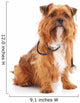 Dog with Stethoscope Wall Decal