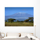 Snow Top Mount Kilimanjaro Wall Decal
