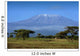 Snow Top Mount Kilimanjaro Wall Decal