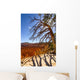 Bryce Canyon Wall Mural