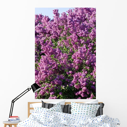 Lilac Wall Mural