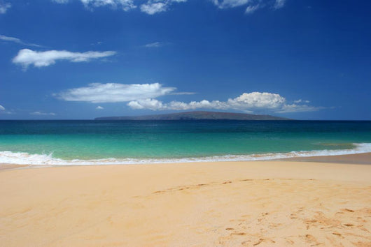 Tropical Beach