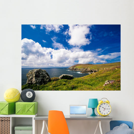 Waterfront Landscape in Ireland Wall Mural