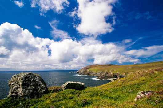 Waterfront Landscape in Ireland Wall Mural