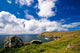 Waterfront Landscape in Ireland Wall Mural