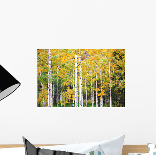 Autumn Colorado Wall Mural