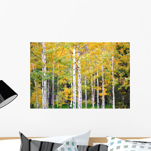 Autumn Colorado Wall Mural