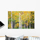 Autumn Colorado Wall Mural