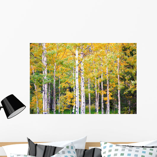 Autumn Colorado Wall Mural