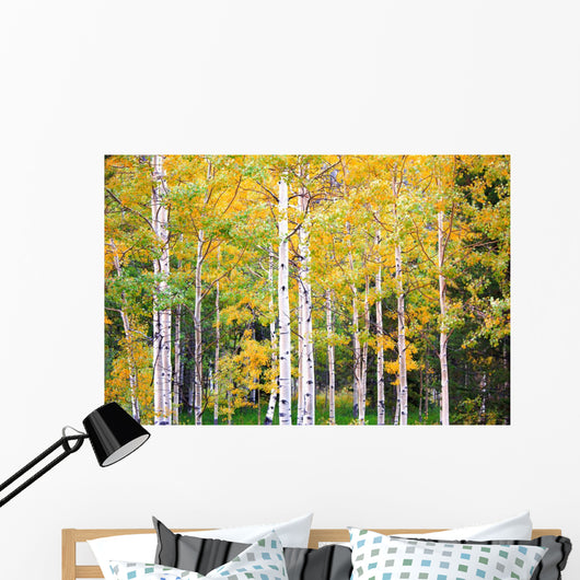 Autumn Colorado Wall Mural