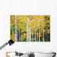 Autumn Colorado Wall Mural