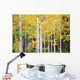Autumn Colorado Wall Mural