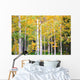 Autumn Colorado Wall Mural
