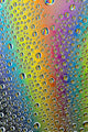Rainbow Waterdrops