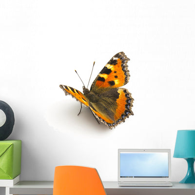 Butterfly shown on a wall