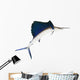 Sailfish Flying Midair White