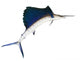 Sailfish Flying Midair White