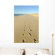Walk Beach Wall Decal