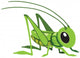 Cartoon Grasshopper Wall Decal