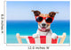 Summer Vacation Dog