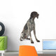 German Shorthaired Pointer