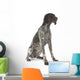 German Shorthaired Pointer