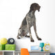 German Shorthaired Pointer