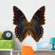 Exotic Butterfly