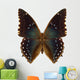 Exotic Butterfly