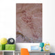 Anasazi Pictograph Wall Mural