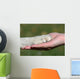 Friends Hand and Paw