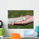 Friends Hand and Paw