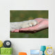 Friends Hand and Paw