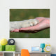 Friends Hand and Paw