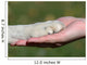 Friends Hand and Paw