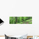 Book Wall Decal
