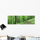 Book Wall Decal