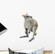 Kangaroo